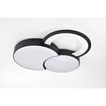 Потолочная светодиодная люстра с ПДУ Rivoli Aliona 6161-702