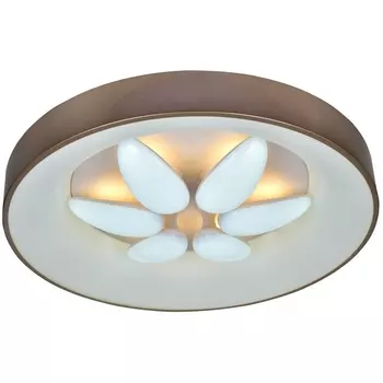 Потолочная светодиодная люстра SS1L 000024150 (Мелодия Света)