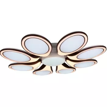 Потолочная светодиодная люстра Мелодия Света SS1L 000024154