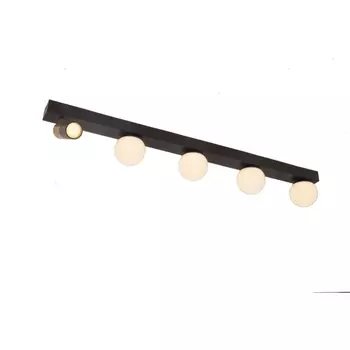 Потолочный светильник с направленным светом LED Arte Lamp Zosma A2608PL-5BK (плафоны шарики)