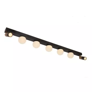 Потолочный светильник с направленным светом LED Arte Lamp Zosma A2608PL-7BK (плафоны шарики)