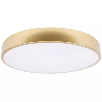 Потолочные светильники Loft It Flims 10228/A