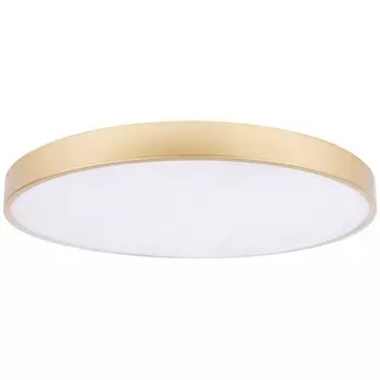 Потолочный светильник круглый LED Loft It Flims 10228/B