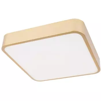 Потолочный светильник LED Loft It Flims 10228/C