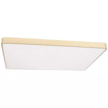 Потолочный светильник LED Loft It Flims 10228/E