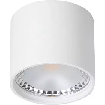 Потолочный накладной светильник влагозащищенный светодиодный Wertmark WTA WTA.O02.007.V0.07