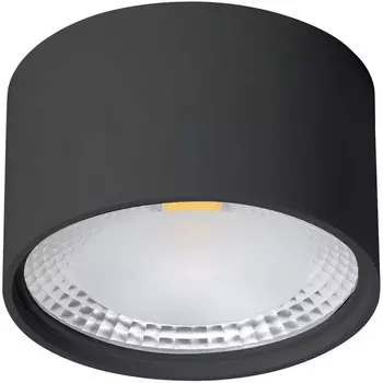 Потолочный накладной светильник влагозащищенный светодиодный Wertmark WTA WTA.O02.607.V0.12