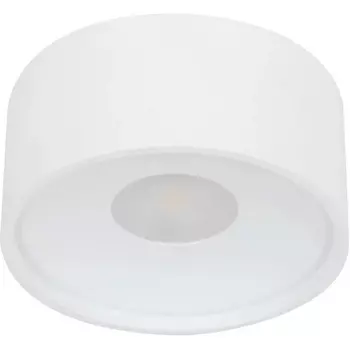 Потолочный накладной светильник влагозащищенный светодиодный Wertmark WTA WTA.O01.007.30.12