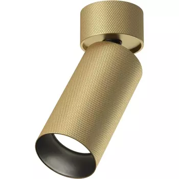 Потолочный спот Maytoni Artisan C082CL-01-GU10-MG