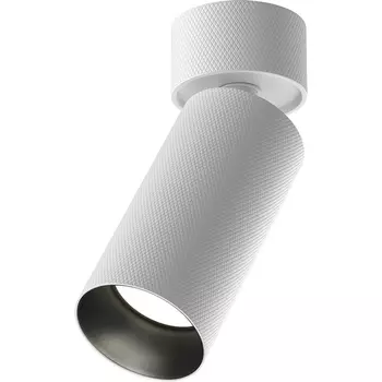 Потолочный спот Maytoni Artisan C082CL-01-GU10-W