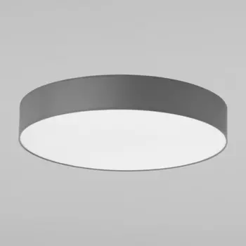 Потолочный светильник 2725 TK Lighting Rondo Graphite