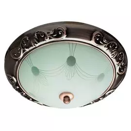 Потолочный светильник A3014PL-2AC (Artelamp)