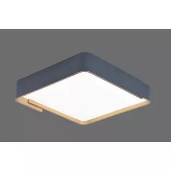 Потолочный светильник LED Alfa Light F0724-36