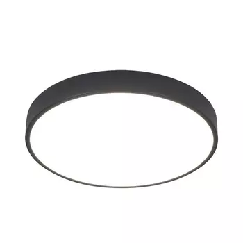 Потолочный светильник круглый с пультом LED Arte Lamp Arena A2661PL-1BK