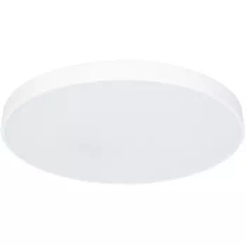 Потолочный светильник Arte Lamp Arena A2671PL-1WH