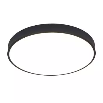 Потолочный светильник круглый с пультом LED Arte Lamp Arena A2672PL-1BK