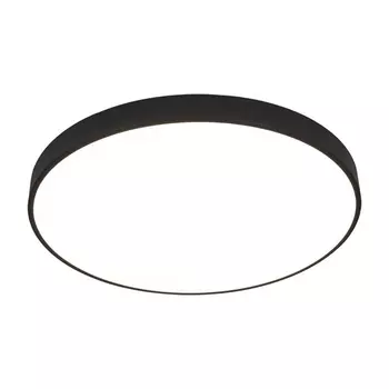 Потолочный светильник круглый с пультом LED Arte Lamp Arena A2673PL-1BK