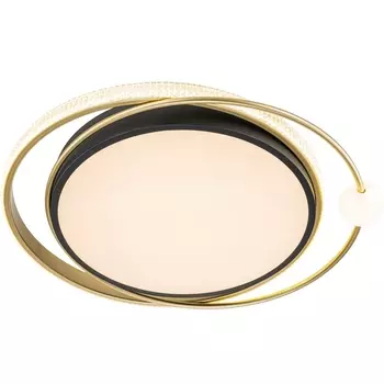 Потолочный светильник Arte Lamp A2658PL-58BK