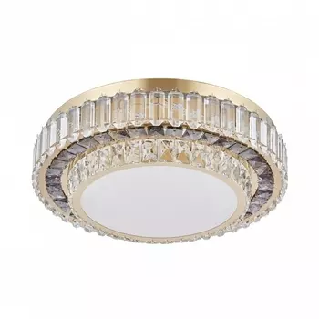 Потолочный светильник круглый с пультом LED Arte Milano 319133/D500 GD