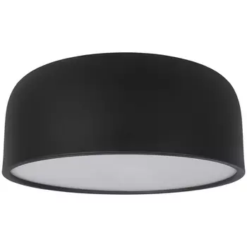 Потолочный светильник 10201/350 Loft It Axel Black