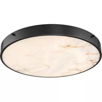 Потолочный светодиодный светильник круглый Belfast Devon 3395-4 BL MB