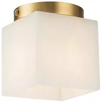 Потолочный светильник Belfast Ravenhill 3333F BR MB