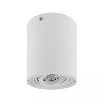 Потолочный светильник с направленным светом Lightstar Binoco 052016