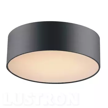 Потолочный светильник Favourite Cerchi 1514-2C1