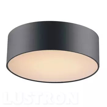 Потолочный светильник Favourite Cerchi 1514-2C