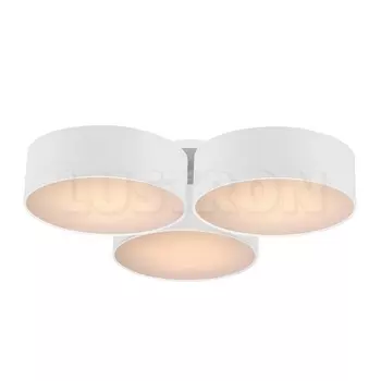 Потолочный светильник Favourite Cerchi 1515-6C