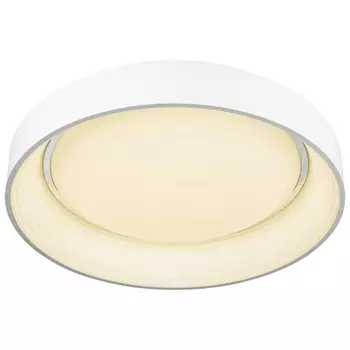 Потолочный светильник с пультом Wertmark Cerchio WE412.02.027