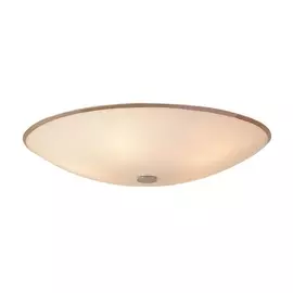 Потолочный светильник CL911502 (Citilux)