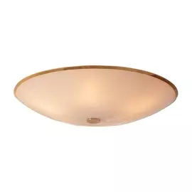 Потолочный светильник CL911602 (Citilux)