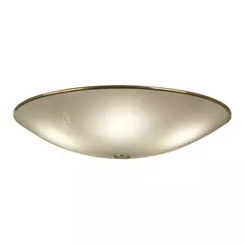 Потолочный светильник CL911603 (Citilux)