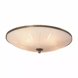 Потолочный светильник CL912501 (Citilux)