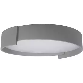 Потолочный светодиодный светильник круглый Loft It Coin 10200 Grey