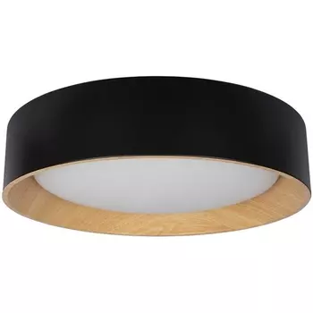 Потолочный светодиодный светильник круглый Loft It Coin 10202 Black