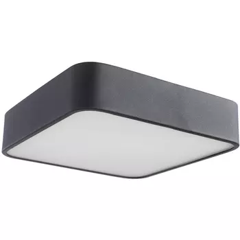 Потолочный светильник Arte Lamp Cosmopolitan A7210PL-2BK