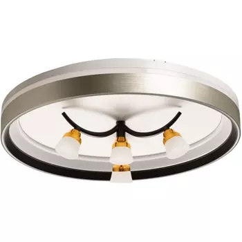 Потолочный светодиодный светильник круглый с пультом De City Норден 660014901