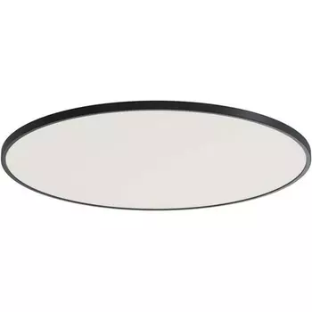 Потолочный светодиодный светильник круглый Donolux Disco DL20171R12W1B