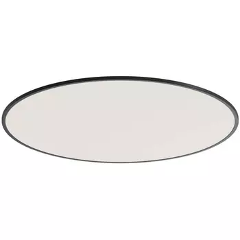 Потолочный светодиодный светильник круглый Donolux Disco DL20171R48W1B