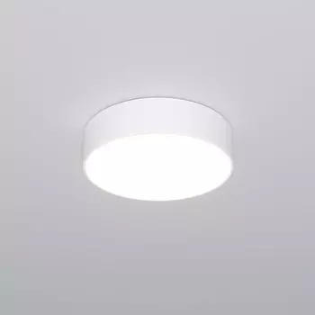 Потолочный светодиодный светильник круглый с пультом Eurosvet Entire 90318/1 белый