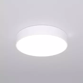 Потолочный светодиодный светильник круглый с пультом Eurosvet Entire 90319/1 белый