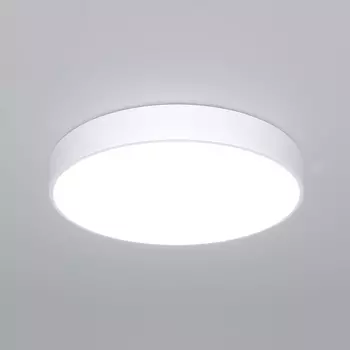 Потолочный светодиодный светильник круглый с пультом Eurosvet Entire 90320/1 белый