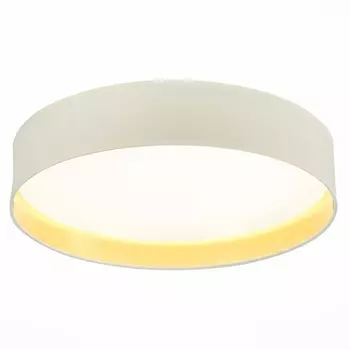 Потолочный светильник Evoluce Brescia SLE300552-01