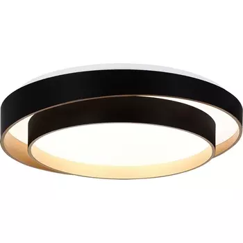 Потолочный светильник Evoluce Crosby SLE6009-402-01 Черный/Белый LED 1*50W 3000K/4000K/6000K