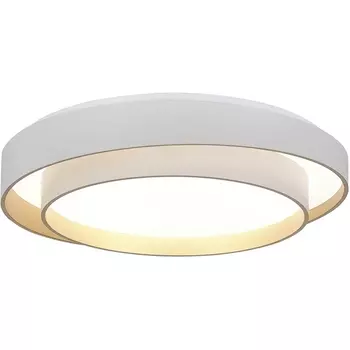 Потолочный светильник Evoluce Crosby SLE6009-502-01 Белый/Белый LED 1*50W 3000K/4000K/6000K