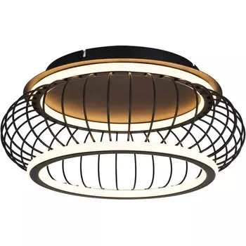 Потолочный светодиодный светильник в форме клетки F-Promo Korg 4435-2C