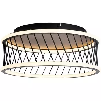 Потолочный светодиодный светильник круглый F-Promo Korg 4436-2C