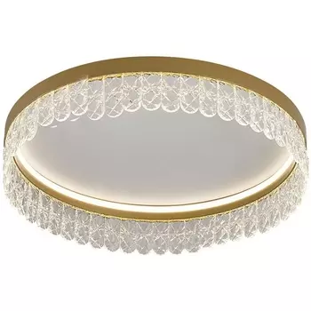 Потолочный светодиодный светильник круглый с пультом F-Promo Lunetta 4186-1C с подвесками